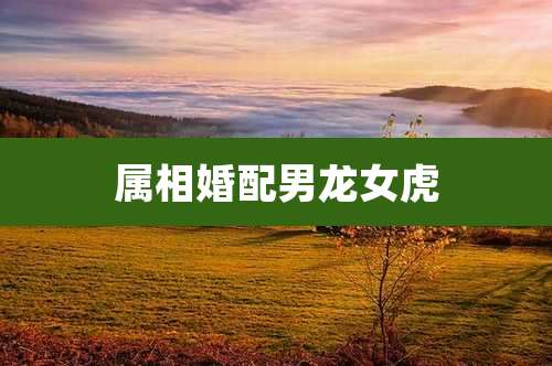 属相婚配男龙女虎