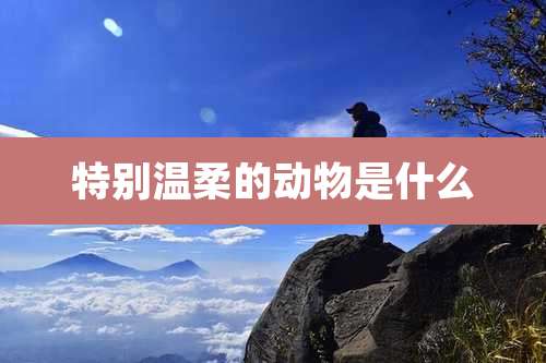 特别温柔的动物是什么