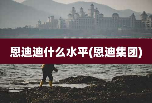 恩迪迪什么水平(恩迪集团)