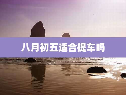 八月初五适合提车吗