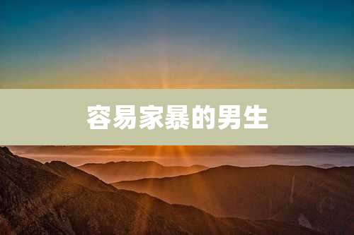 容易家暴的男生