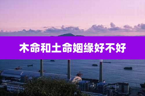 木命和土命姻缘好不好