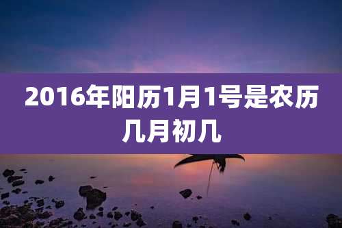 2016年阳历1月1号是农历几月初几