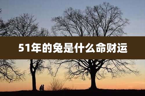 51年的兔是什么命财运