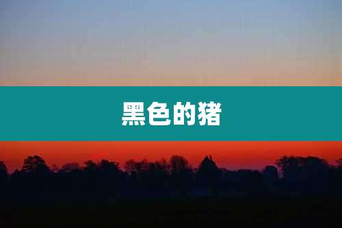 黑色的猪
