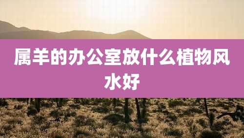 属羊的办公室放什么植物风水好