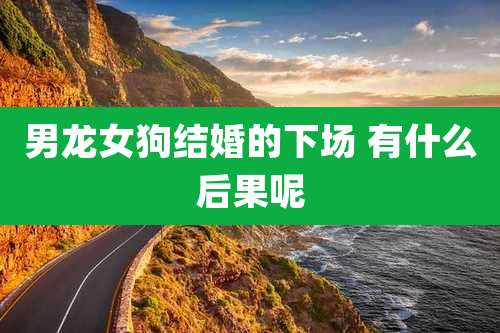 男龙女狗结婚的下场 有什么后果呢