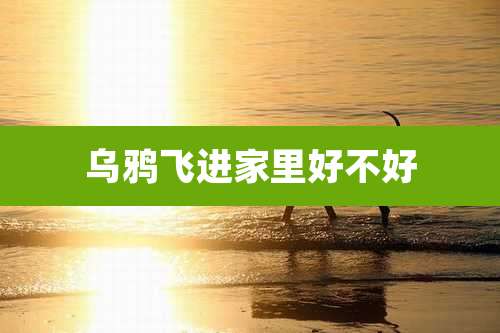 乌鸦飞进家里好不好