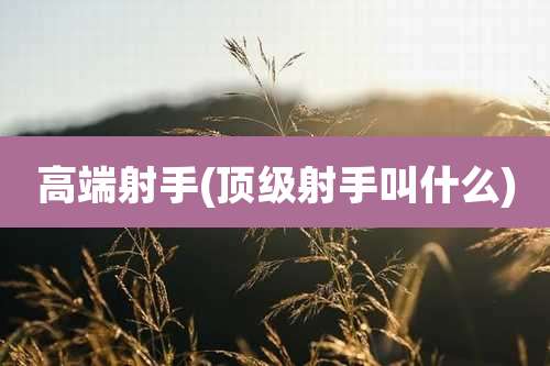 高端射手(顶级射手叫什么)