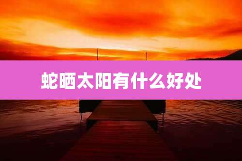 蛇晒太阳有什么好处