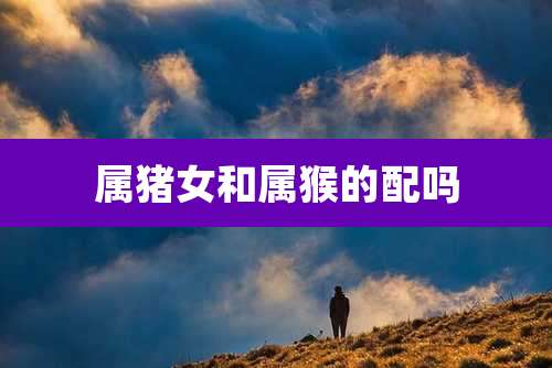 属猪女和属猴的配吗