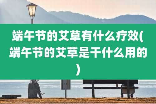 端午节的艾草有什么疗效(端午节的艾草是干什么用的)