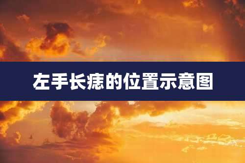 左手长痣的位置示意图