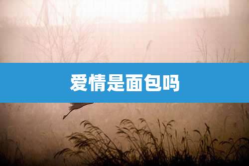 爱情是面包吗