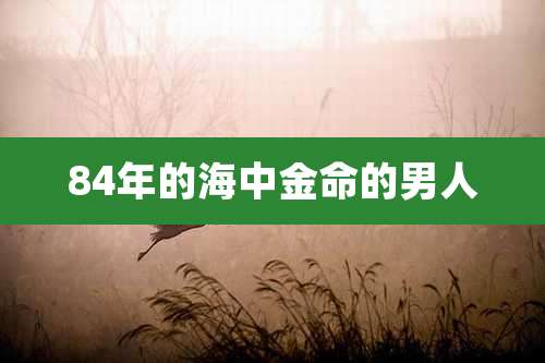 84年的海中金命的男人