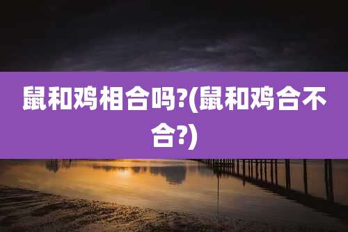 鼠和鸡相合吗?(鼠和鸡合不合?)