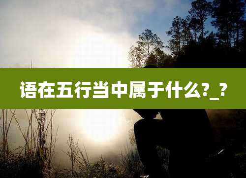 语在五行当中属于什么?_?