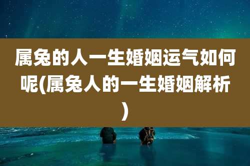 属兔的人一生婚姻运气如何呢(属兔人的一生婚姻解析)