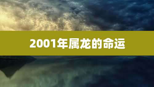 2001年属龙的命运