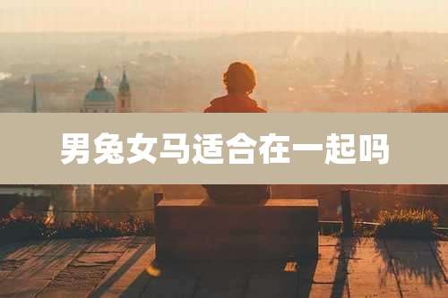 男兔女马适合在一起吗