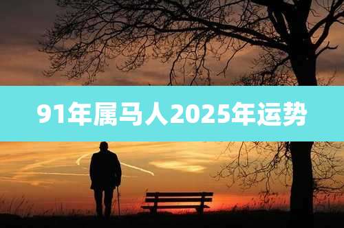 91年属马人2025年运势