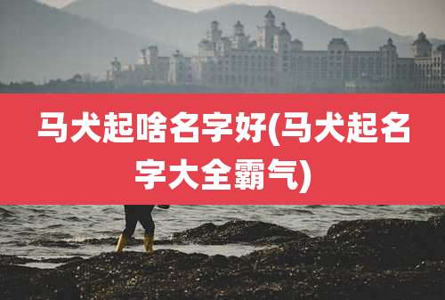 马犬起啥名字好(马犬起名字大全霸气)