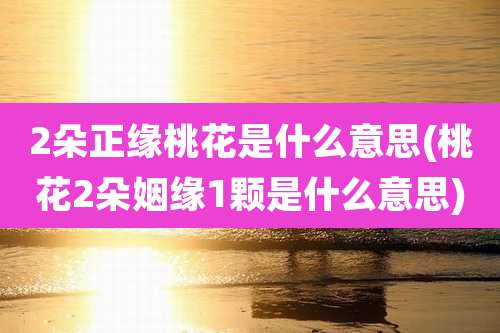 2朵正缘桃花是什么意思(桃花2朵姻缘1颗是什么意思)