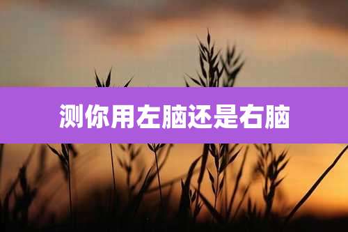 测你用左脑还是右脑