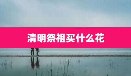 清明祭祖买什么花