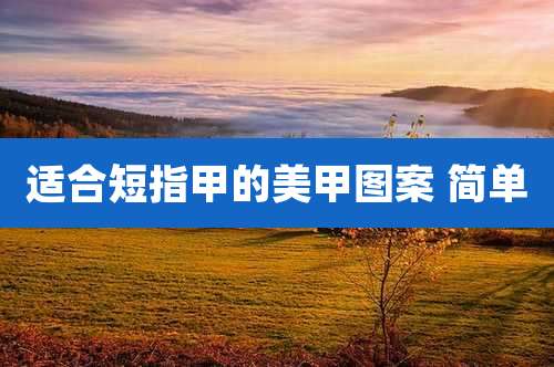 适合短指甲的美甲图案 简单