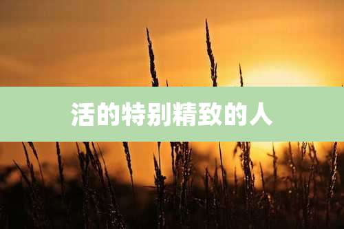 活的特别精致的人