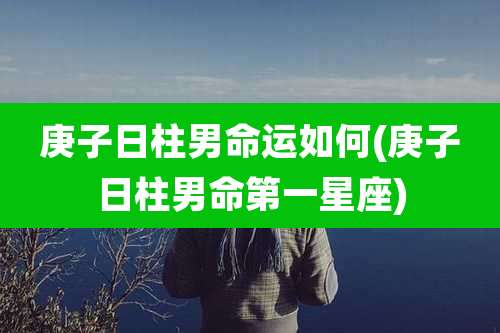 庚子日柱男命运如何(庚子日柱男命第一星座)