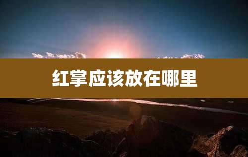 红掌应该放在哪里