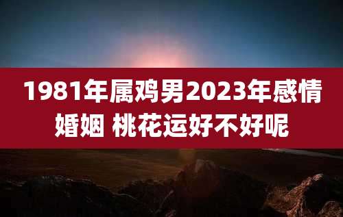 1981年属鸡男2023年感情婚姻 桃花运好不好呢