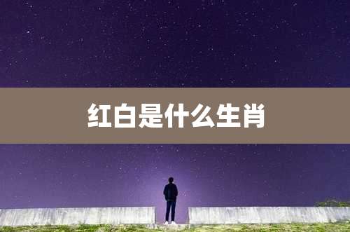 红白是什么生肖