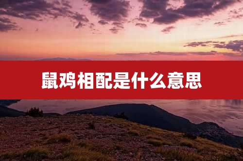 鼠鸡相配是什么意思