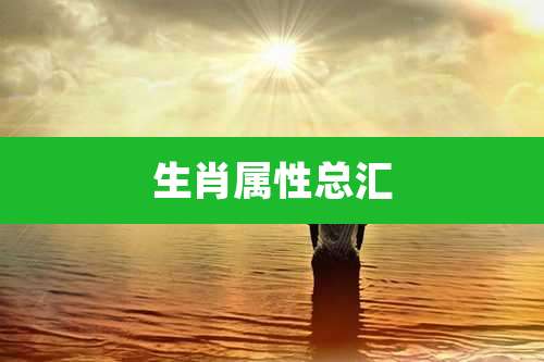生肖属性总汇