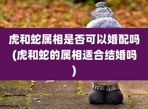 虎和蛇属相是否可以婚配吗(虎和蛇的属相适合结婚吗)