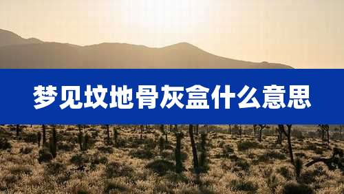 梦见坟地骨灰盒什么意思