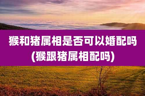 猴和猪属相是否可以婚配吗(猴跟猪属相配吗)