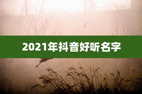 2021年抖音好听名字