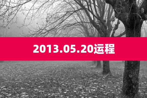 2013.05.20运程
