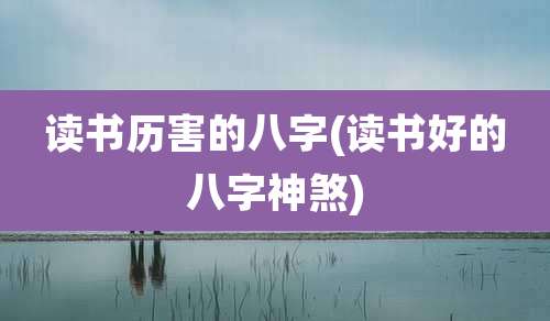 读书历害的八字(读书好的八字神煞)