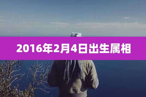 2016年2月4日出生属相