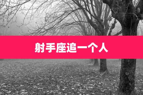 射手座追一个人