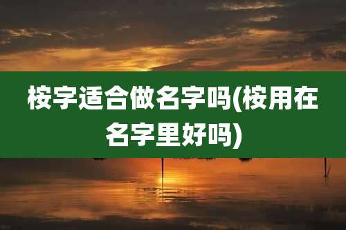 桉字适合做名字吗(桉用在名字里好吗)