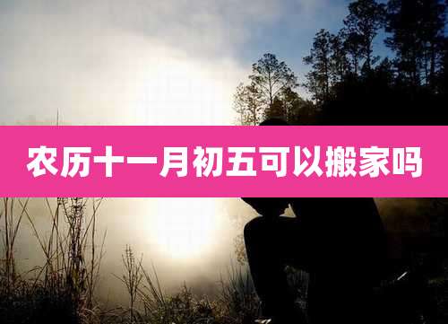 农历十一月初五可以搬家吗