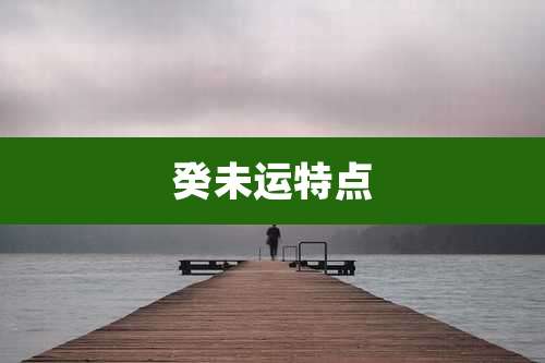 癸未运特点