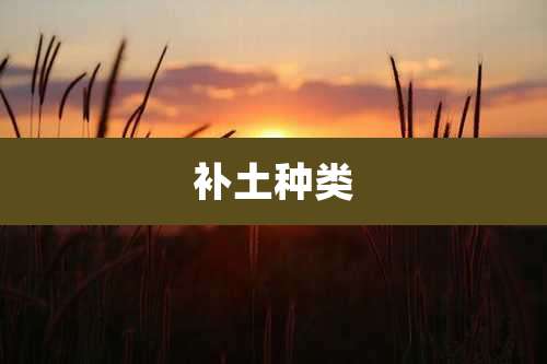 补土种类