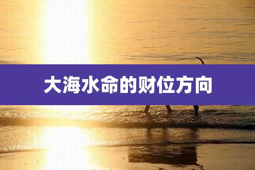 大海水命的财位方向
